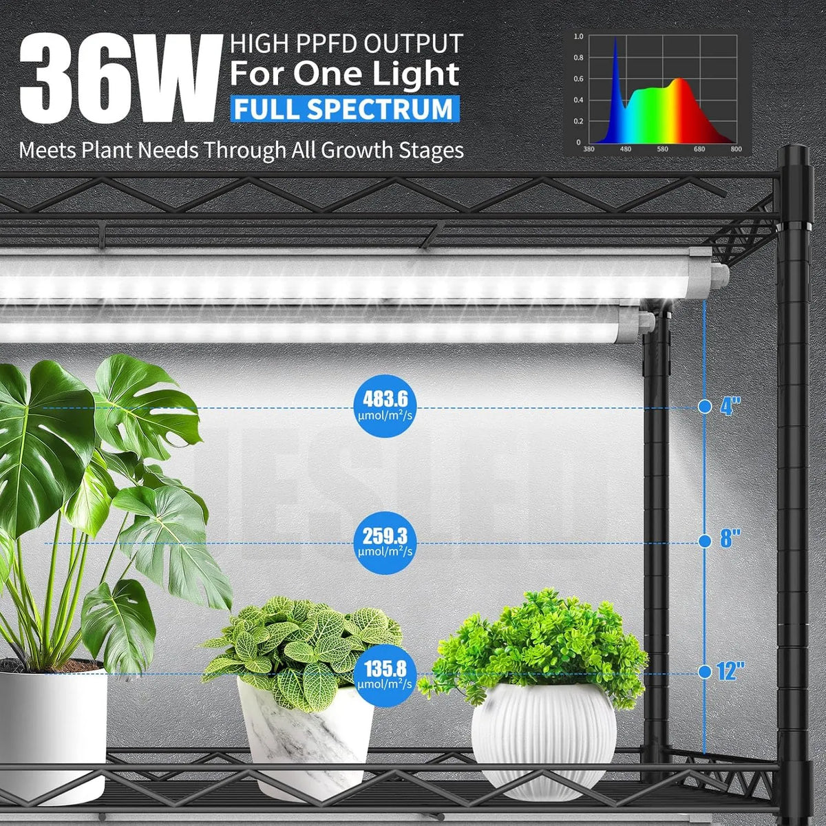 JESLED Indoor 5-Tier Greenhouse 36W 3FT LED Grow Light Full Spectrum 5000K  – JESLED Lighting