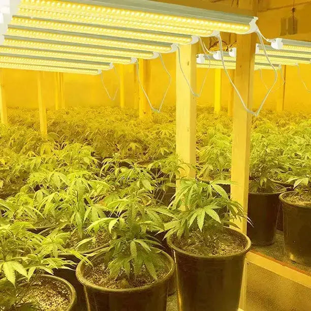 JESLED Full Spectrum LED Grow Light for Indoor Plants Greenhouse, Sunl