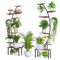 Plant Stands Grow Lights
