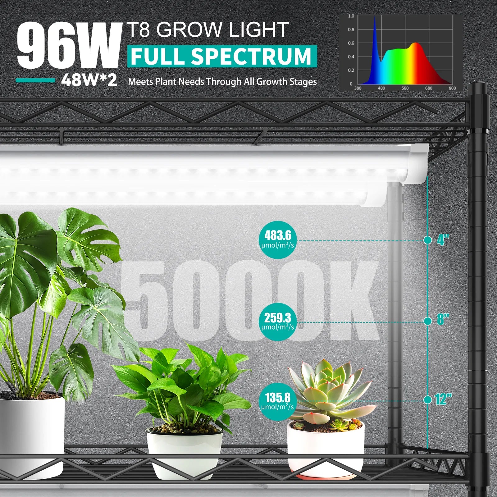 t8 grow lights for indoor plants JESLED T8 48W 4FT LED Plant Grow Lights Full Spectrum 5000K Daylight W –  JESLED Lighting