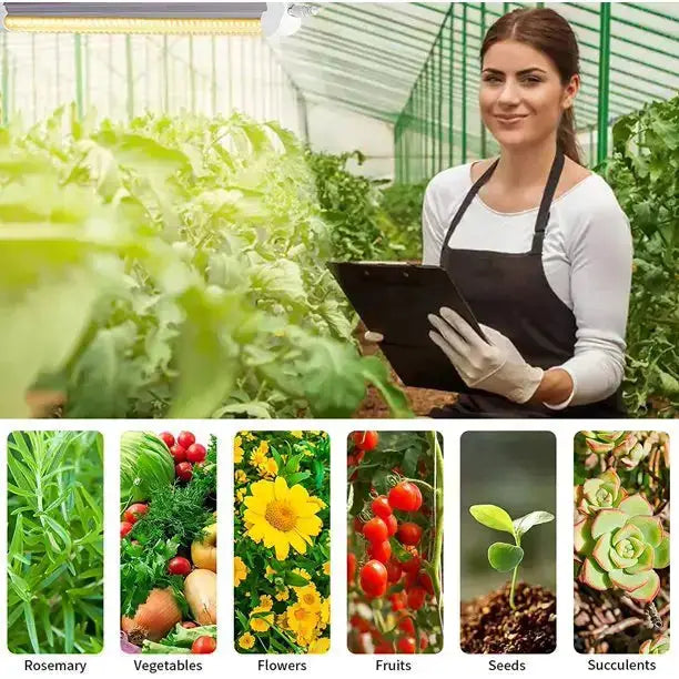 JESLED Full Spectrum LED Grow Light for Indoor Plants Greenhouse, Sunl